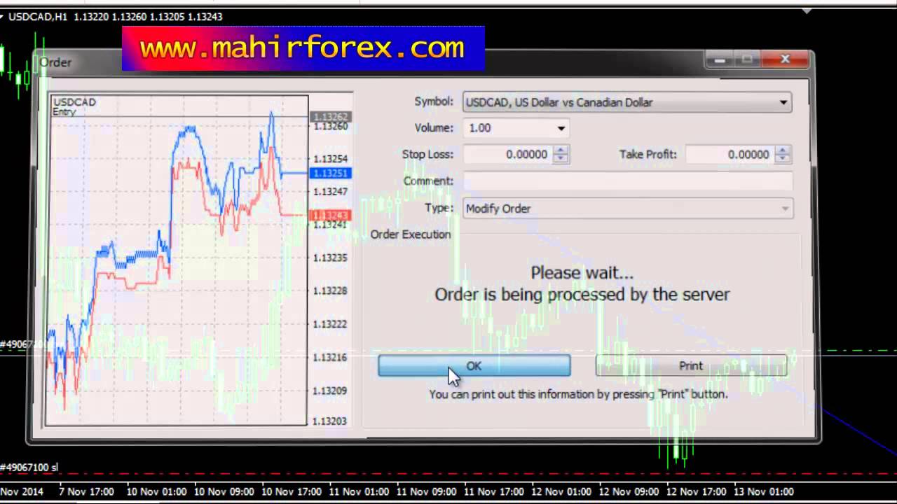 cara mudah profit forex