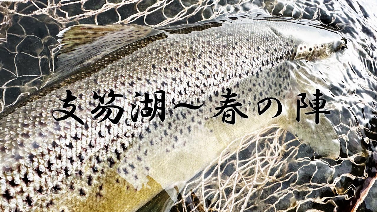 最高の一匹と出会う〜支笏湖開幕戦
