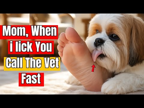 Does Your Dog Lick You? Vets Warn What It Secretly Means