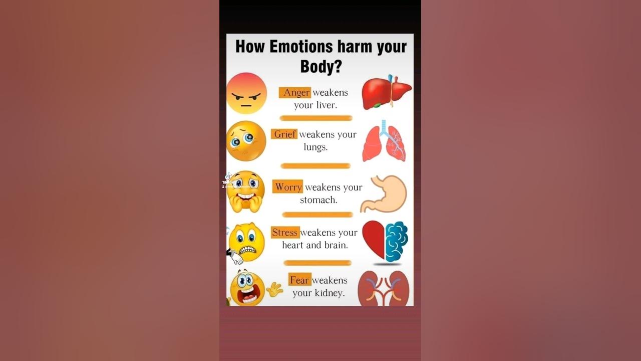 how-emotions-affect-body-youtube