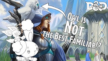 D&D 2024: The Ultimate Guide to Find Familiar