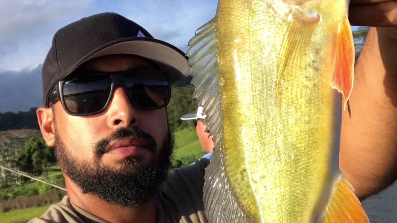 Peacock bass and largemouth topwater blow ups Kauai Hawaii YouTube