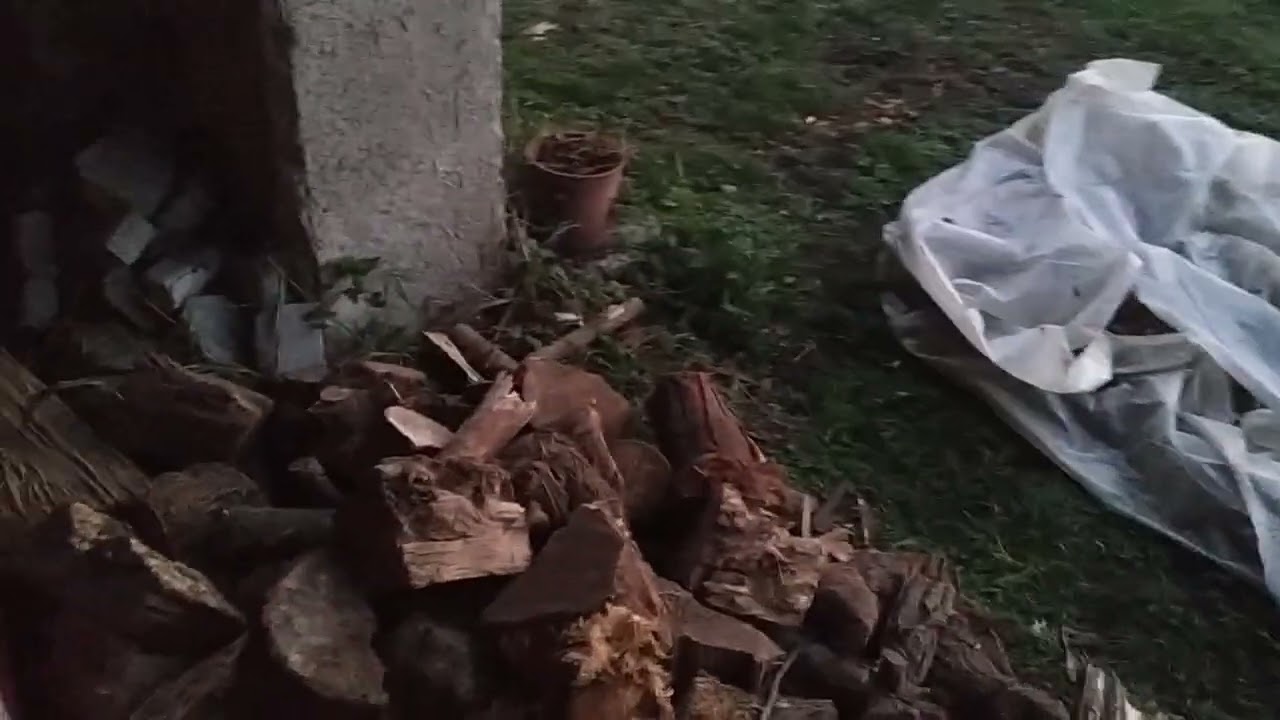 Fagiolina e Papà legna da sistemare che faticaccia