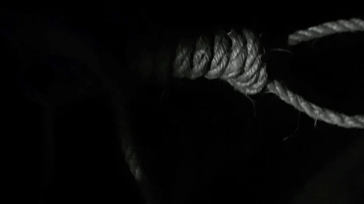 Trevor Vaughan "Missing Nails"
