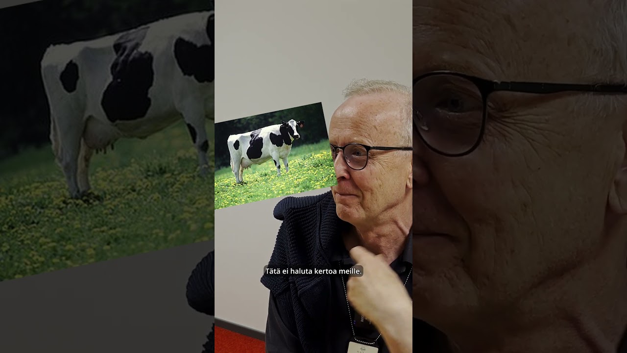 Myytinmurto: "Ruoholla kasvava nauta"