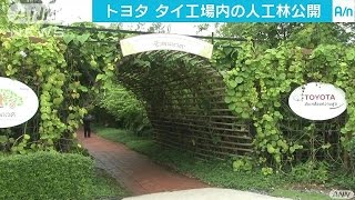 トヨタ　タイ工場に自社最大規模の人工林施設(16/06/24)