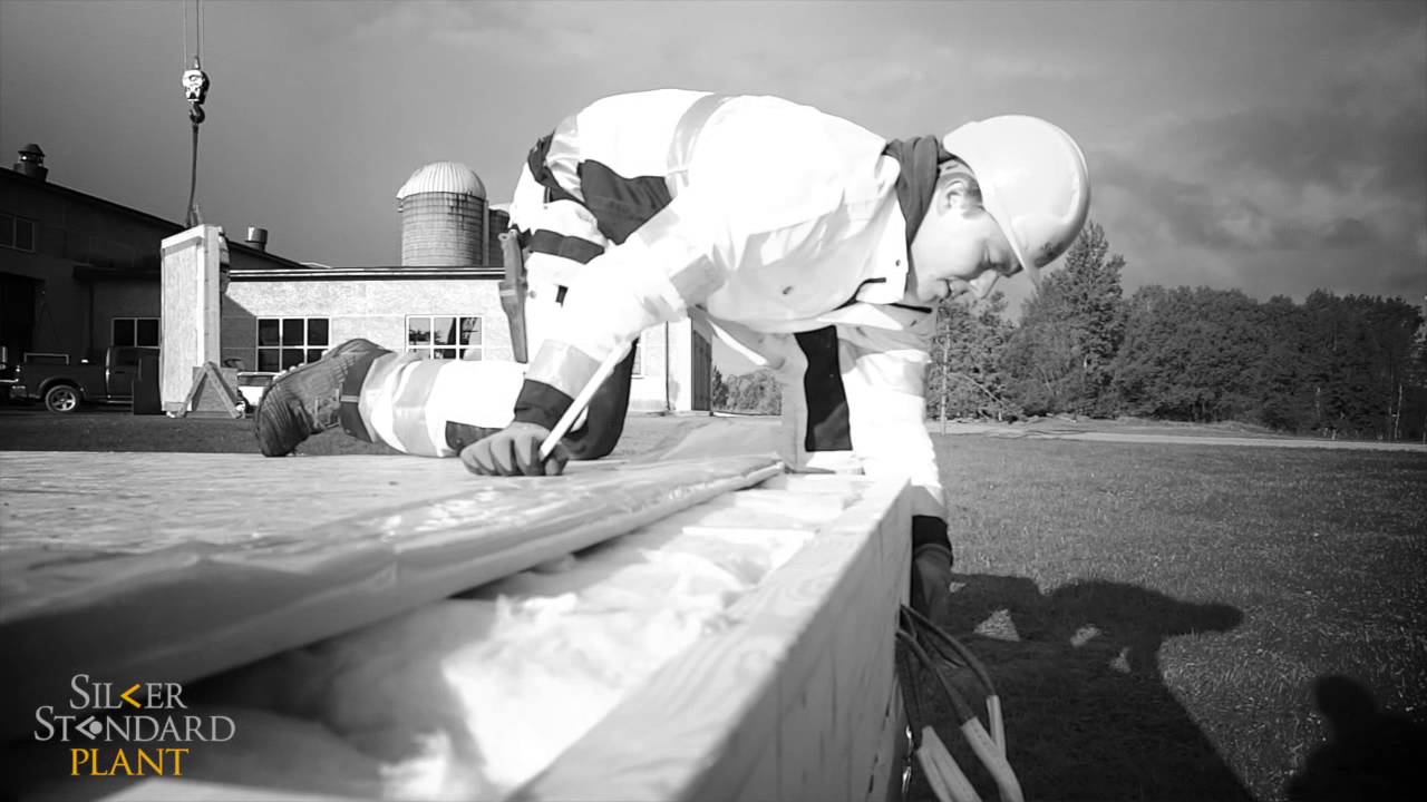 Demo karkasa mājas būvniecība Birzgalē, Liepu ielā 5.