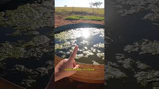 Isso Vai Deixar A Água Do Seu Bebedouro Limpa Prof. Marcelo Costa