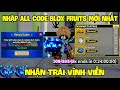 Tổng Hợp 16 Code Blox Fruit x2 Exp Mới Nhất Và 5000 Robux Miễn Phí Còn Nhập Được