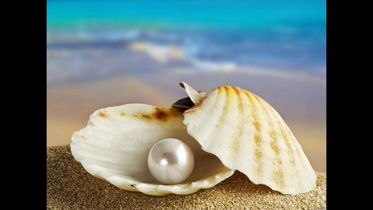 Кто я что призрел Ты на меня (Жемчужина)