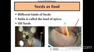 28/04/2020 - Grade 6 - Science (Food - Where does it come from) - #4
