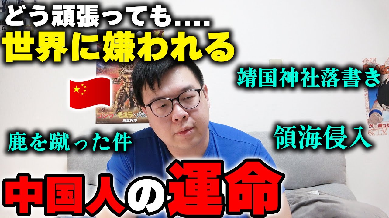 中国 人 世界 の 嫌 われ 者