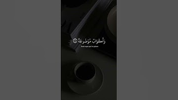 ( فِي جَنَّةٍ عَالِيَةٍ  لَّا تَسْمَعُ فِيهَا لَاغِيَة)- سورة الغاشية