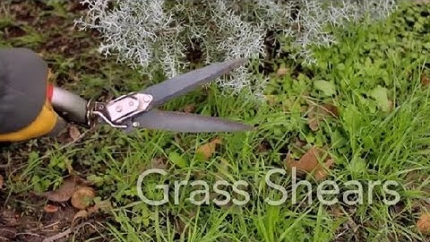 How to Use Grass Shears : Garden Tool Guides