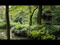 Sketching live 4K test