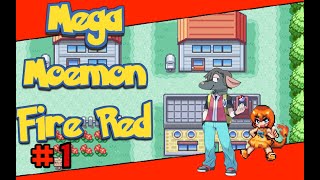 Mega Moemon FireRed Hardcore Nuzlocke (My First Nuzlocke) :  r/PokemonHallOfFame