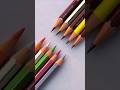 pencil 🆚 pencil colour