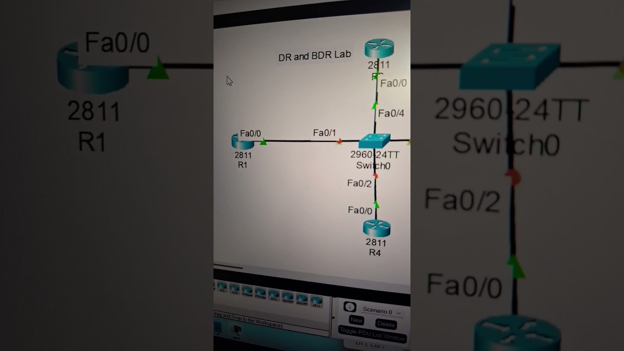 DR and BDR router lab overview #cisconetworks #networkdiscovery