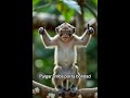 Pulgar Arriba por la Bondad - Kindness Monkey