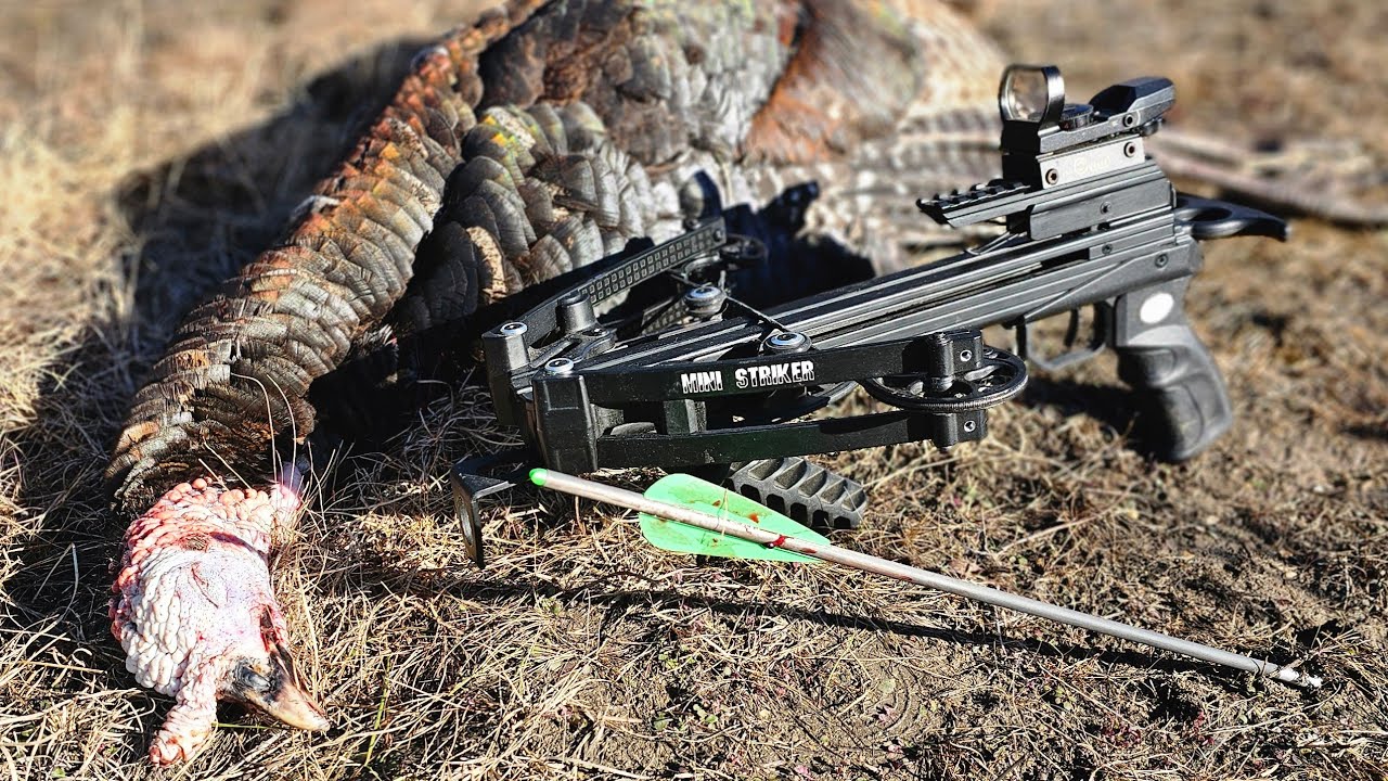 Turkey vs Pistol Crossbow.....Hunting w/ Mini Striker Pistol Crossbow