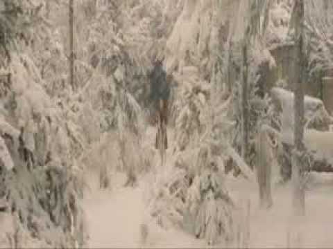 The Chronicles of Narnia Full Movie Part 2