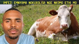Uzidele amathambo ifisa nokuxolisa ngenkomo Imfezi Emyama ku Sqiniseko