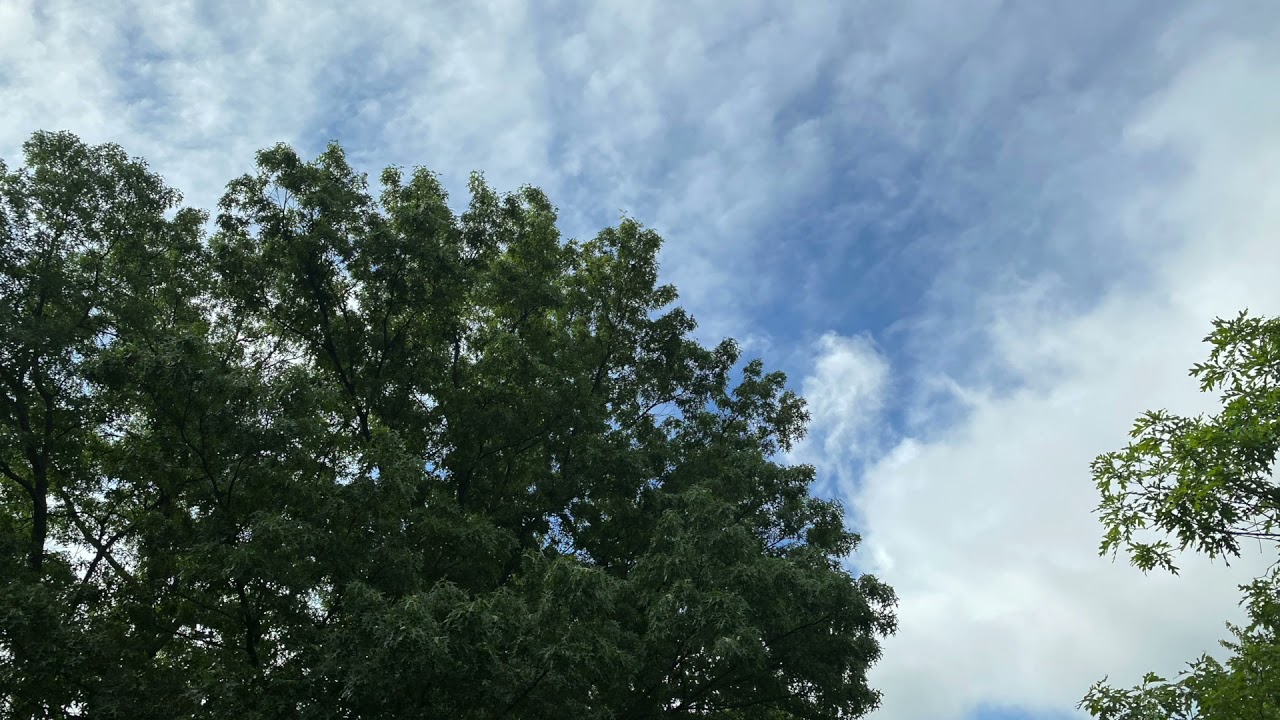 Dawn by Steve Kurilla