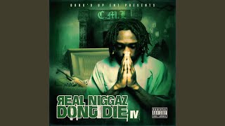 Really Wit It (feat. Pirate Gang Destruckto & Pooh Rida)