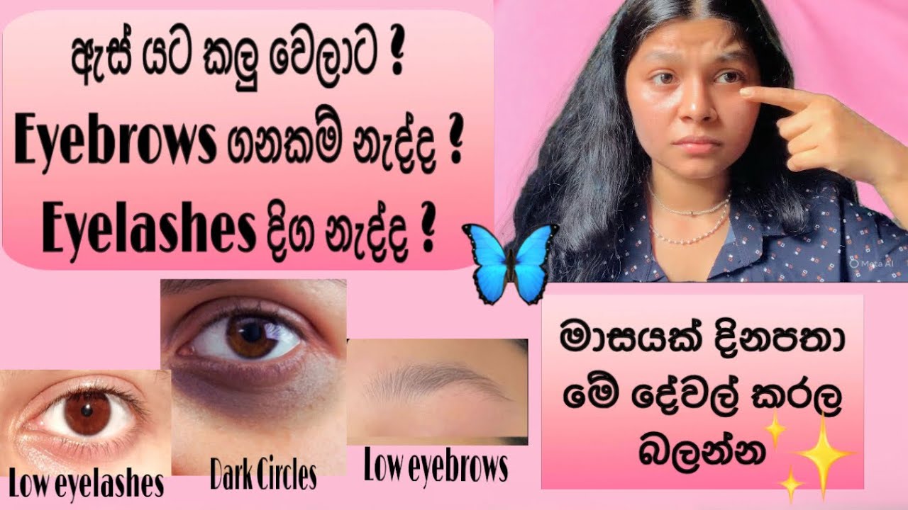 ඔයාගෙත් ඇස් යට කලු වෙලාද? Eyelashes දිග මදිද? Eyebrows ගනකමට වැවෙන්නෙ නැද්ද ? 😩😩 මෙ video එක ඔයාට🦋🧿♥
