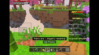 I LOOTED THE ENTIRE SKYWARS MAP… THEN BONKED MY BROTHER 💀⚔️ (He Was NOT Ready 😂)