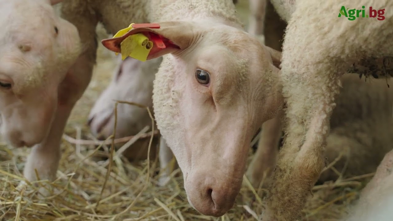 Защо един млад фермер все още не е получил и лев субсидия?