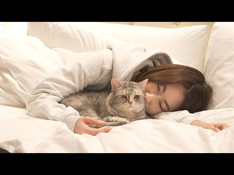 야옹이들과 단체로 호캉스를 다녀왔어요!