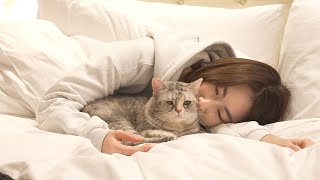 My Cats and I Went on a Hotel Staycation! (ENG SUB)