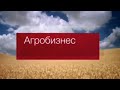 Заставки "Агробизнес" (Вести 24/Россия 24,2009-2010)