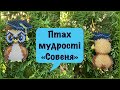 Птах мудрості &quot;Совеня&quot;. Частина четверта