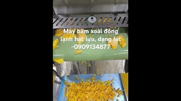 Máy băm xoài đông lạnh thành hạt lựu, máy cắt xoài dạng lát, máy cắt xoài đông lạnh JL 1000