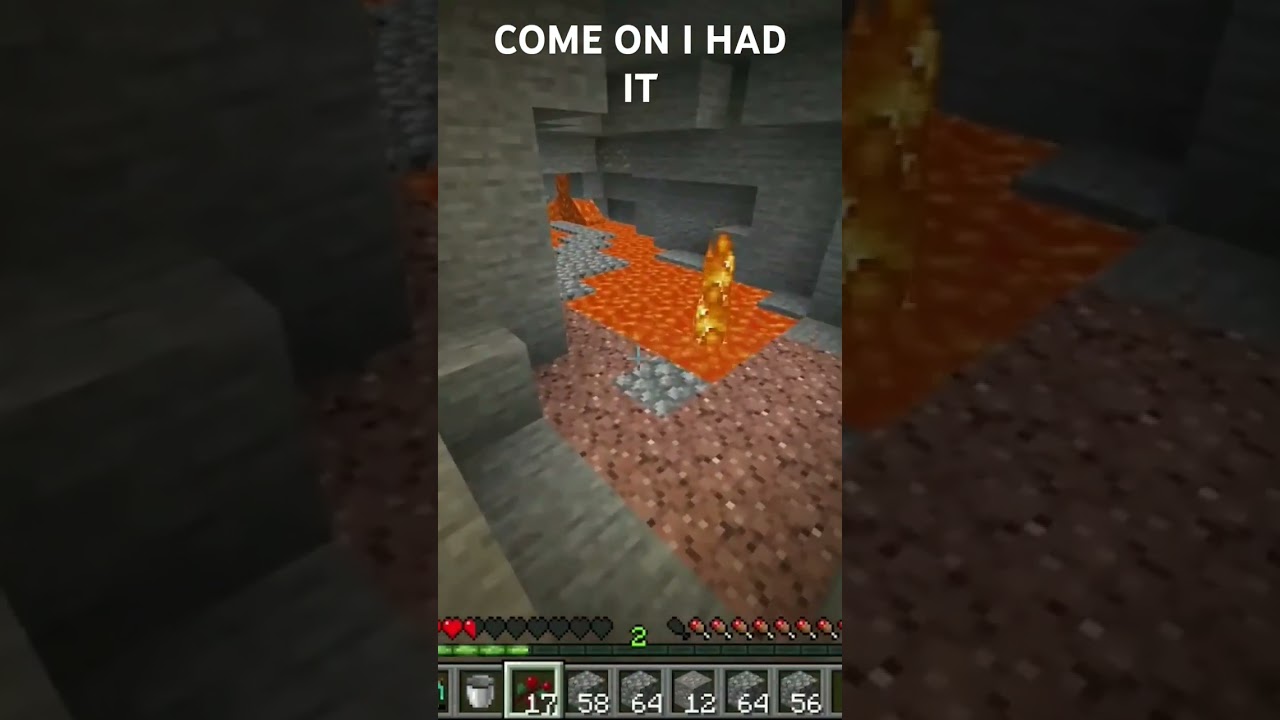 COME ON I HAD IT
