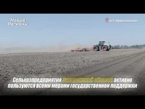Правительство Запорожской обеспечивает продовольственную безопасность региона ?