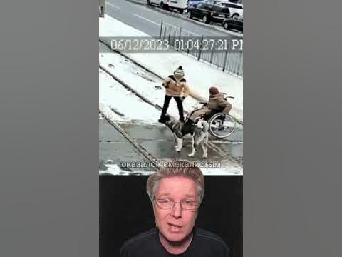 Умная собака спасла старушке жизнь - YouTube
