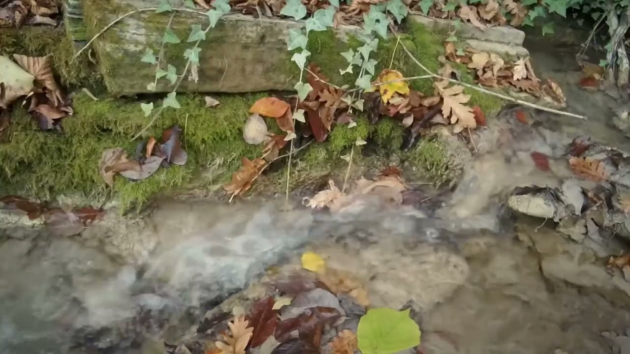 2 Hours of Gentle Forest Stream Waterfall 💧 | Relaxing Nature Sounds Sleep, Study & Stress Relief 4K