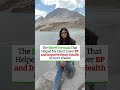 Secret Formula Helped My Client Lower BP &amp; Improve Heart Health in Just 6 Weeks #health #shorts