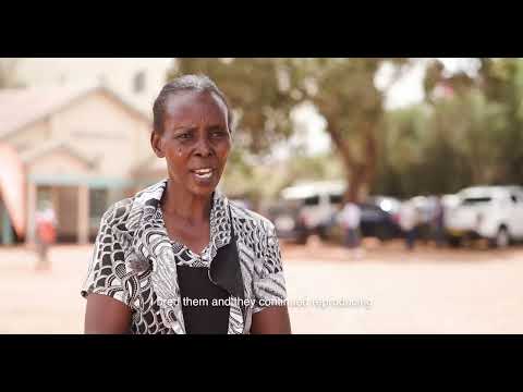 Magdaline Mutuko: Securing Livelihoods Through Agricultural Insurance