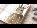 Beginning of video