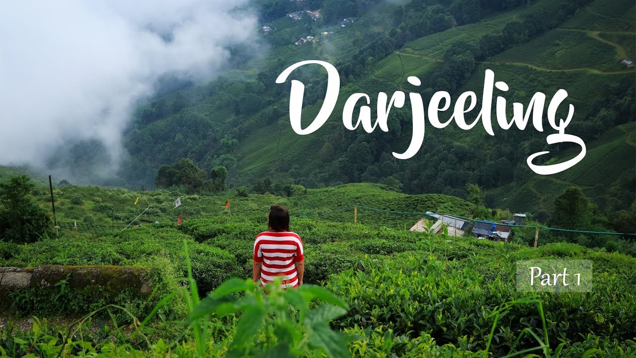 darjeeling tour package from njp