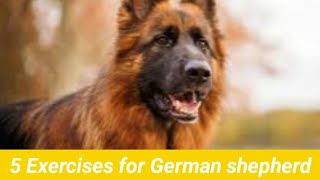 Top 5 Exercises for German shepherd by Its_jack_GSD 3,577 views 9 months ago 1 minute, 59 seconds