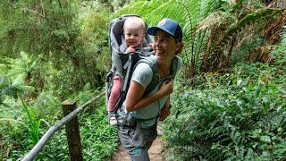 thule sapling elite carrier