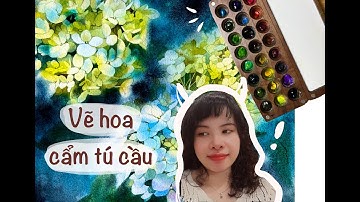 Vẽ hoa Cẩm Tú Cầu | Màu nước | Hydrangea 