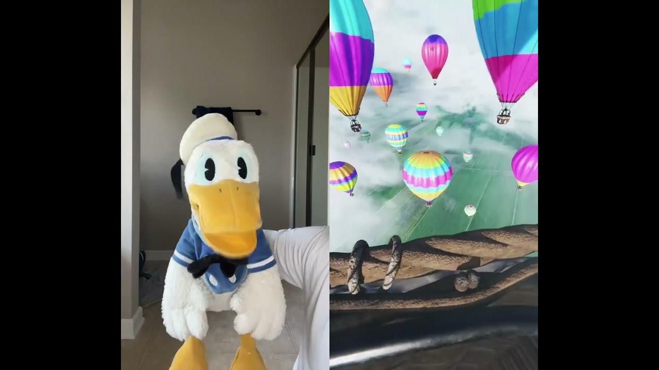 Donald Ducc Doesn’t Want To Fly Anymore