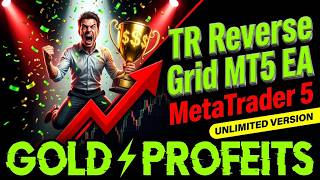 TR Reverse Grid MT5 EA Backtest | MetaTrader 5 Trading 2026