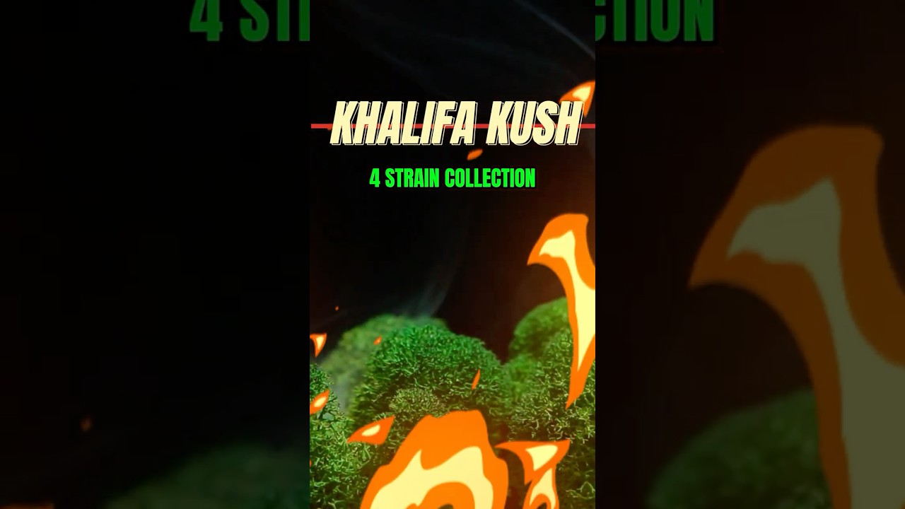 🔥 Khalifa Kush Strain Review! | Baby Turtle, Violet Sky & Khalifa Mints | StankyFlowers 🔥